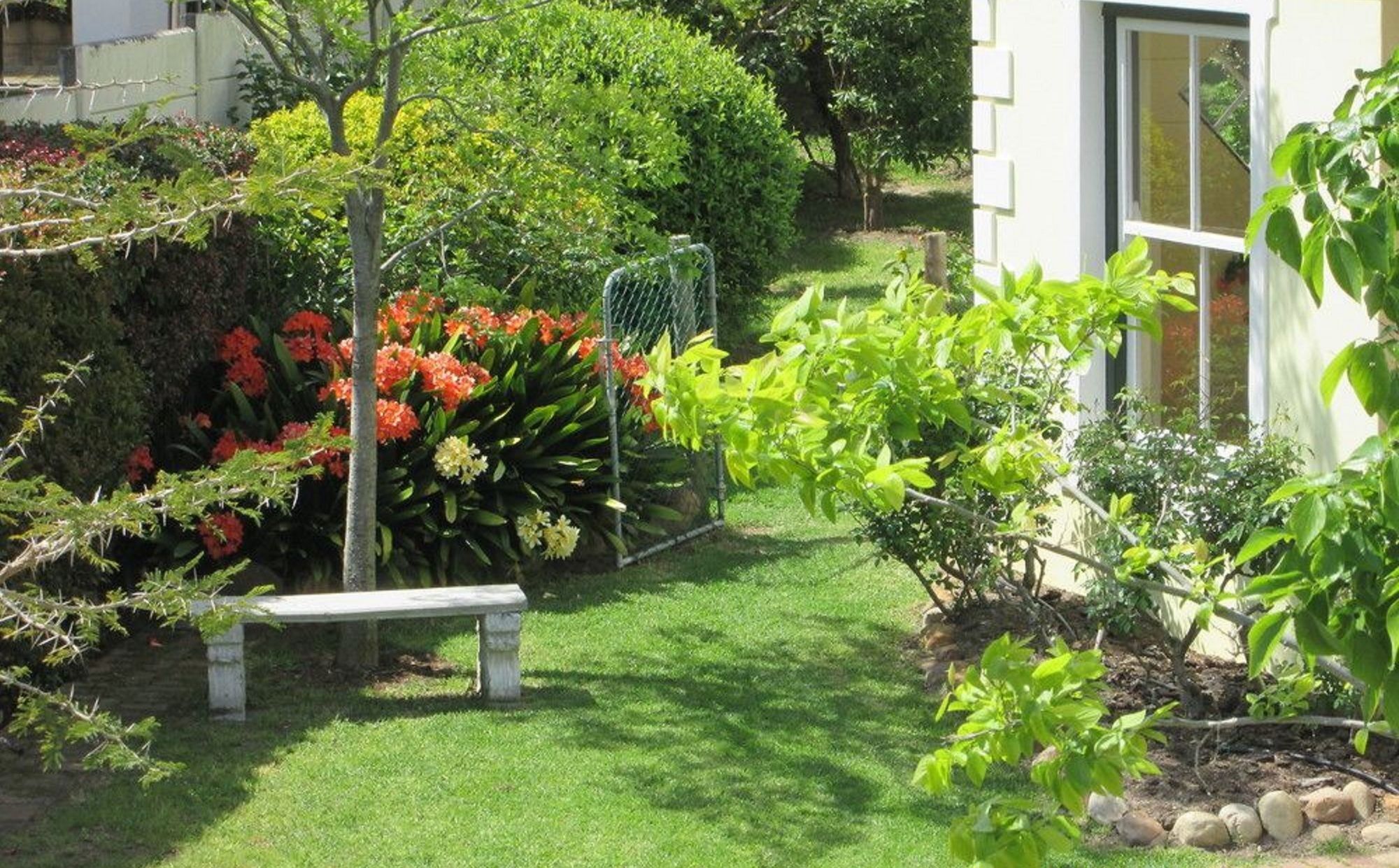 Villa-Roux Garden Cottage Franschhoek Buitenkant foto
